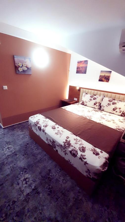 Stay Inn Rediu Valea Lupului  Exterior photo